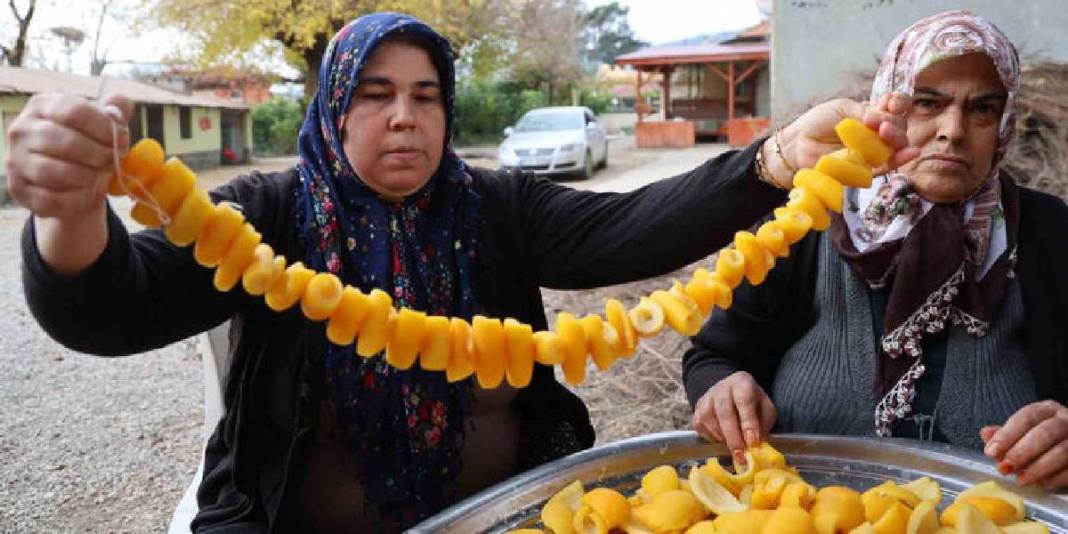 Tarlada 5 TL’ye satılıyor kimse yemiyor! Kadınların elinde dönüşüp değer kazanıyor: Kilosu 300 TL’den damlası bile kalmıyor 6